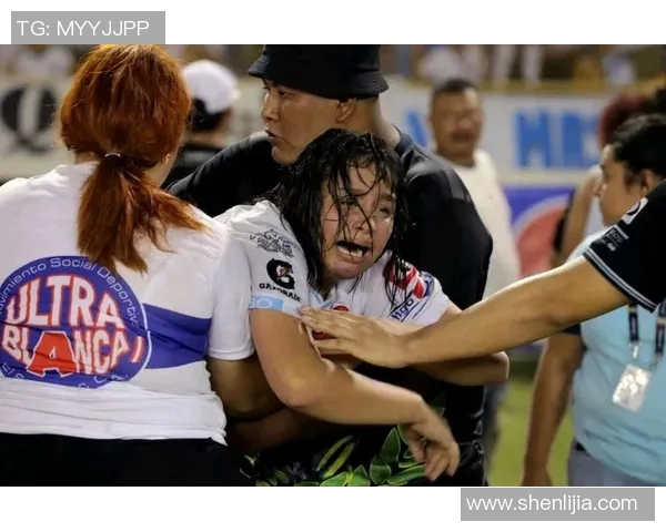 球迷假票事件调查