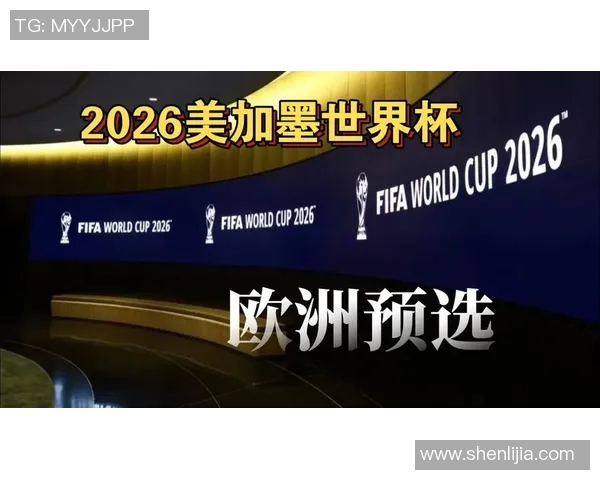 世界杯预选赛最新动态：各支球队晋级形势解析